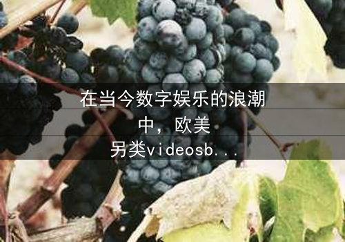 《欧美另类videosbesv》- 在线观看HD中字 - 免费1080P超清完整无删