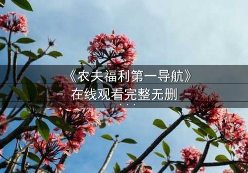 《农夫福利第一导航》- 在线观看完整无删 - 一场颠覆命运的隐秘交易