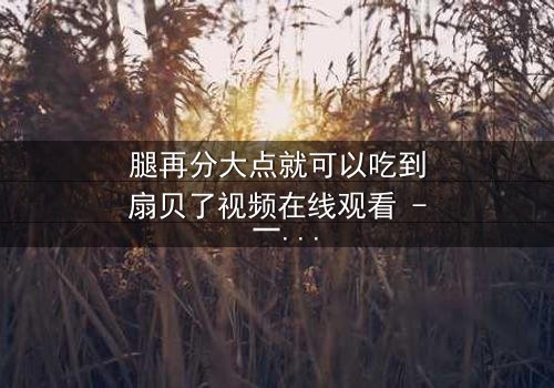 腿再分大点就可以吃到扇贝了视频在线观看 - 一场美食与欲望的极限挑战